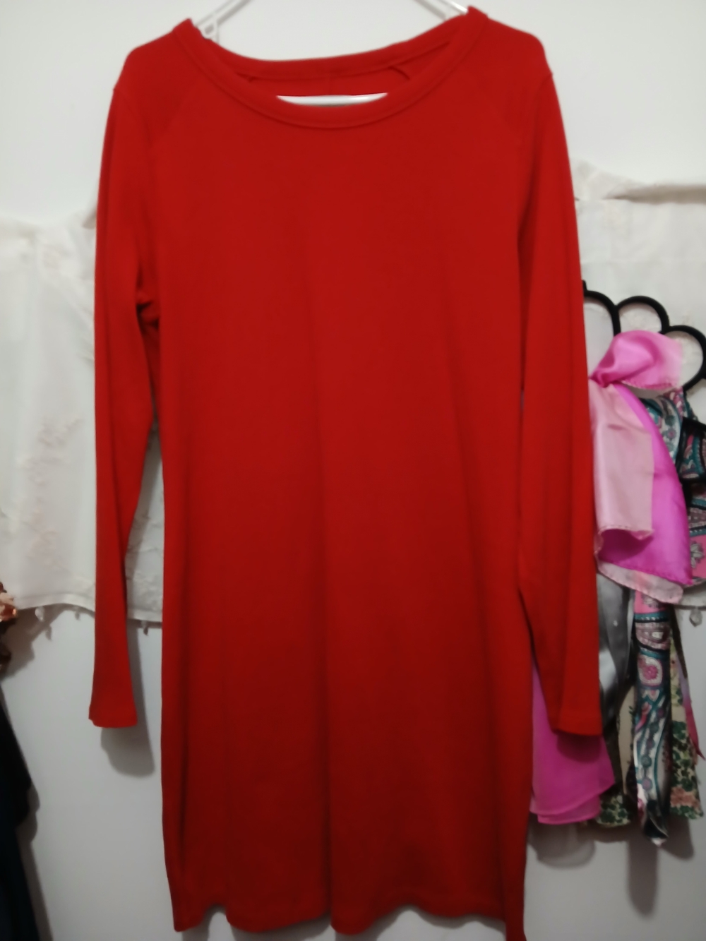 Everlane Red Long-Sleeve Knit Dress